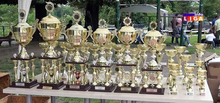 IL-izlozba-pasa-2019-pehari 14.Specijalka goniča i revija ''Dete i pas'' u Ivanjici (VIDEO)