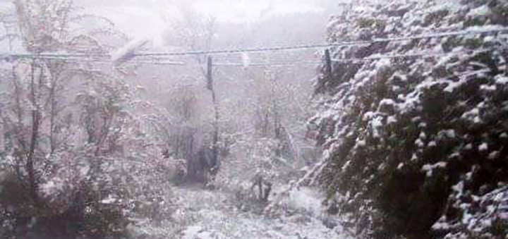 IL-sneg-u-maju-3 Sneg veje u višim predelima Ivanjice (VIDEO)