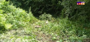 il-mesto-nesrece-300x142 Ivanjica : Auto sleteo sa puta-vatrogasci izvukli dvoje povređenih