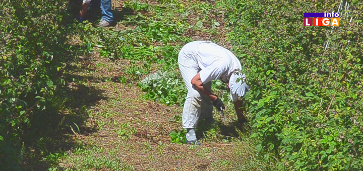 vrucine-za-sajt-2 "Od nečega ćemo pasti, ili od sunca ili od gladi"