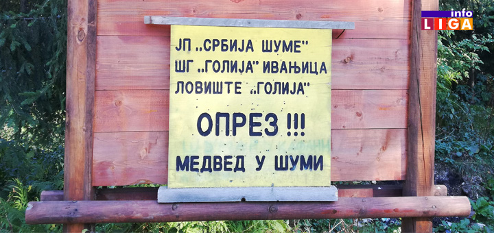 IL-mecka-u-sumi- Oči u oči sa mečkom - Ivanjičaninu se zaledila krv u žilama kada se susreo sa mečkom (VIDEO)