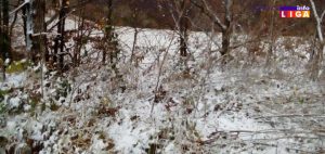 IL-Sneg-2020-300x142 Zabelelo se na brdima u okolini Ivanjice
