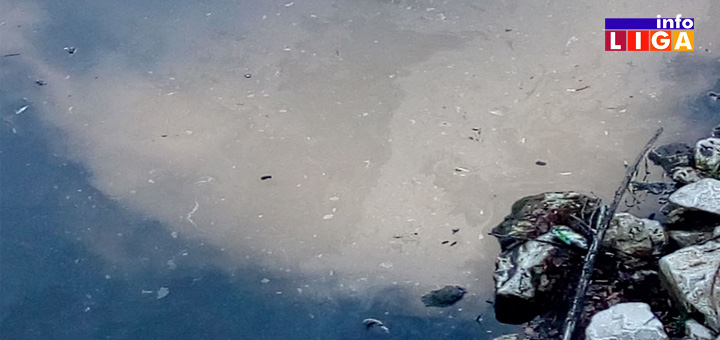 IL-mrlja Ivanjica: Opet nafta u Moravici - Do kada više? (VIDEO)