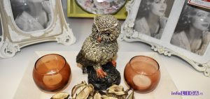 IL-gift-shop-2-300x142 Novootvorena cvećara (Flowers & gift shop) u Ivanjici