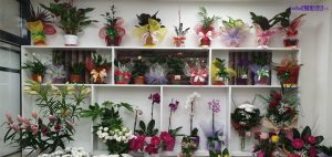 IL-gift-shop-3-300x142 Novootvorena cvećara (Flowers & gift shop) u Ivanjici