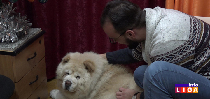 IL-Uroš-Glavinić-dr-vet.med-naslovna Mladi doktor veterine iz Ivanjice objasnio zašto vas sunce tuđeg neba neće grejati kao što u Srbiji greje (VIDEO)