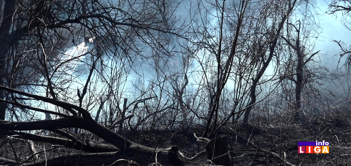 IL-Požar-na-Bratljevu- POŽAR U IVANJICI - Vatra i vetar besneli po zaseoku Rovine (VIDEO)