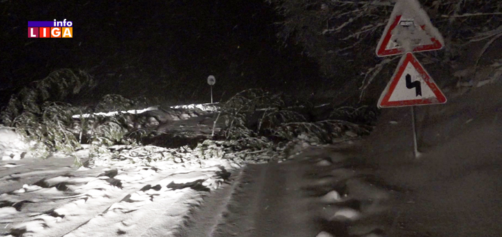 Il-nevreme-sneg-drvo-na-putu- Sneg, oluja i blokirani putevi. Pogledajte kako je večeras izgledalo u okolini Ivanjice (VIDEO)