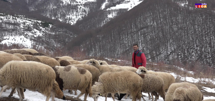 il-deda-ercege U sedmu deceniju bez popijenog leka (VIDEO)