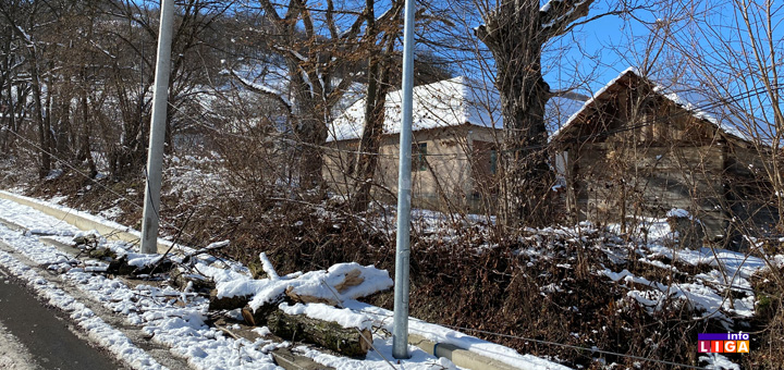 il-drvo1 Najneobičniji postupak Ivanjičaninu spasio život