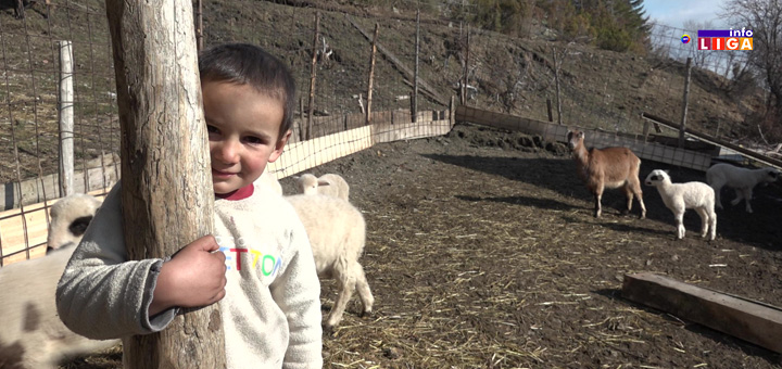 il-vukovici Oni će vas osvojiti: Devetoro Lukovića žive u divljini bogatiji od svih (VIDEO)