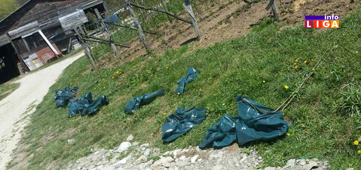 IL-sadnice-voca-institut-cacak Institut za voćarstvo iz Čačka pomaže poljoprivrednim proizvođačima