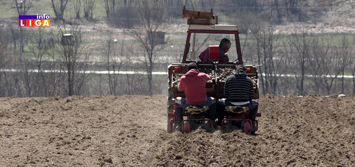 Il-Poljoprivrednici-korona-policijski-cas- Glavobolje ivanjičkih poljoprivrednika zbog policijskog časa (VIDEO)