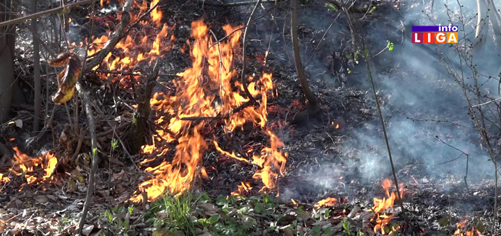Il-Pozar-Malovici-Darijeviceva-reka- Kazne za izazivanje požara do milion dinara