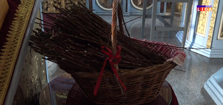 il-vrba Vrbove grane u ivanjičkom hramu do srede (VIDEO)