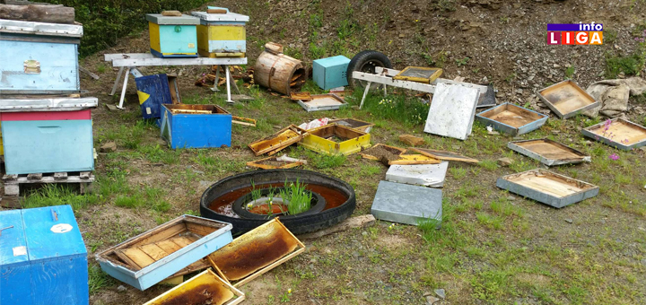IL-MEČKE-GLEDJICA Ivanjica - Mečka doručkovala u dvorištu Vukašinovića (FOTO)