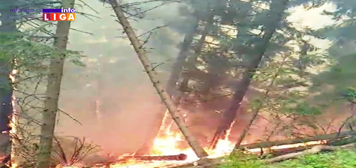 IL-Pozar-Golija- Kazne za izazivanje požara do 1.000.000 dinara