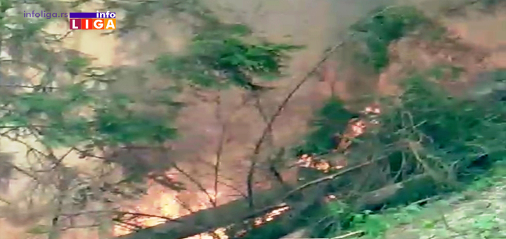 IL-Pozar-Golija-3 Besne požari! Na Goliji vatra zahvatila šumu (VIDEO)