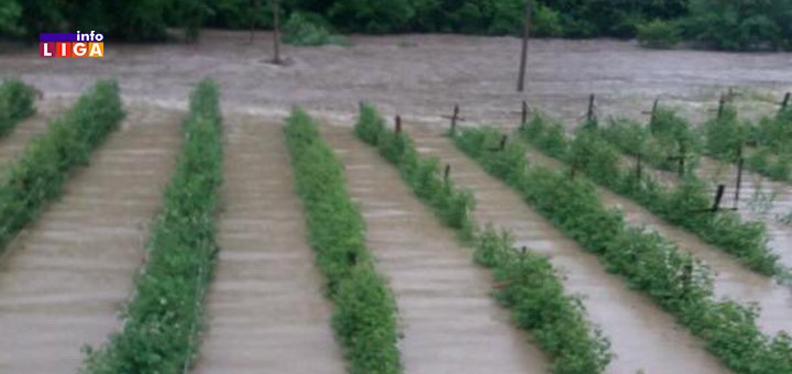 il-maline-poplavljene Trideset dana za prijavu štete izazvane elementarnim nepogodama u opštini Ivanjica