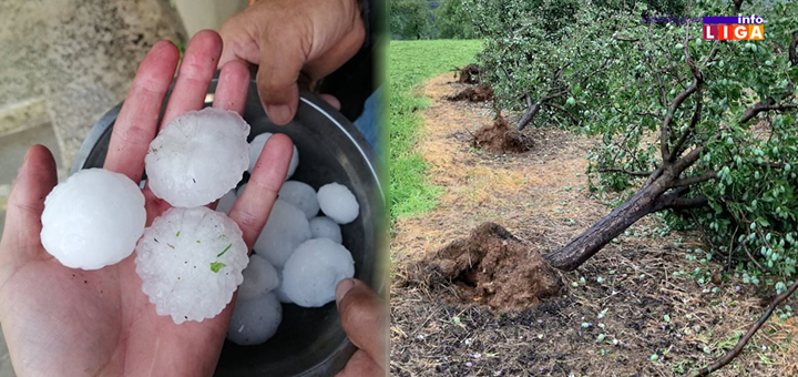 IL-Grad-odvalio-sljivu- Oluja i grad veličine pesnice opustošili ivanjičku opštinu (FOTO)