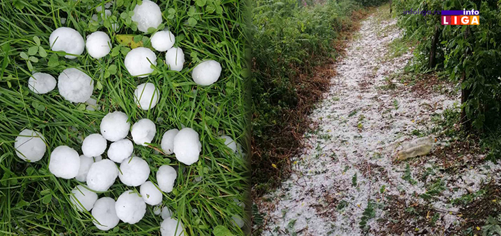 IL-Maline-obelelo-sve Oluja i grad veličine pesnice opustošili ivanjičku opštinu (FOTO)