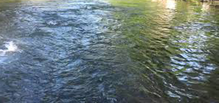 IL-Reka Policajac skočio sa obale visoke tri metra da bi spasio mladića iz reke