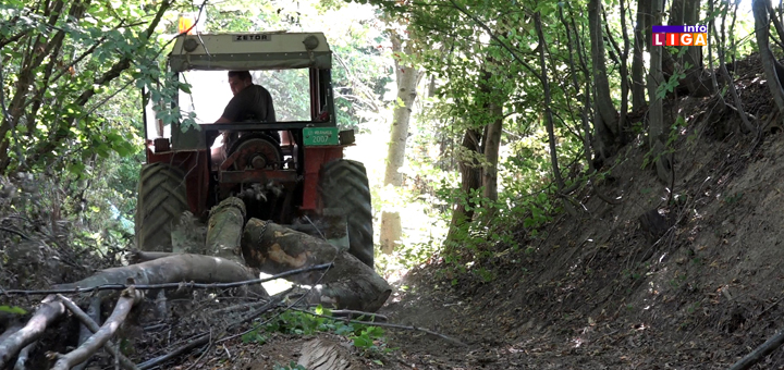 IL-Drva-izvlacenje-1 Težak život drvoseča : " Prekrstim se tri puta, pa u šumu da zaradim za hleb" (VIDEO)