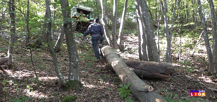 IL-Drva-izvlacenje-3 Težak život drvoseča : " Prekrstim se tri puta, pa u šumu da zaradim za hleb" (VIDEO)