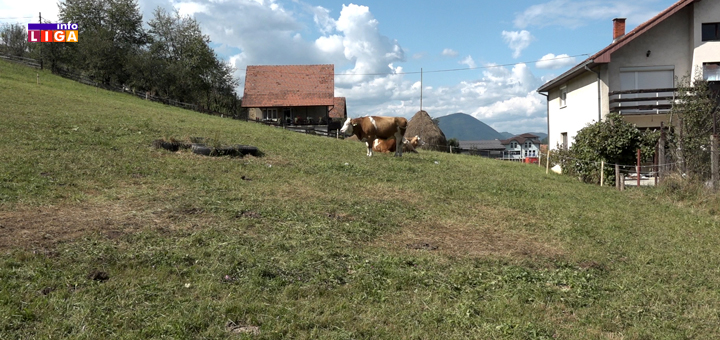 IL-krave- Rok za prijavu u eRPG neograničen - Upoznajemo vas sa planom raspisivanja javnih poziva za subvencije