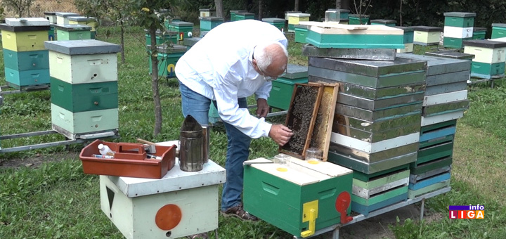il-aco-vujovic-pcelar- Loša godina za pčelare: Cena meda dobra, ali prinosi četvorostruko manji (VIDEO)