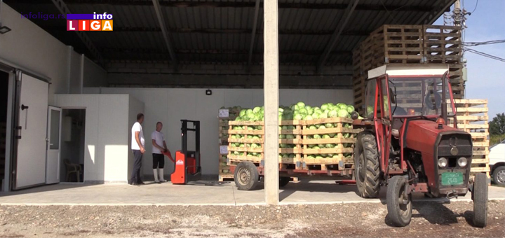 IL-ZZ-Arilje Ariljske zadruga uzdigla se iz pepela i počela proizvodnju kiselog kupusa