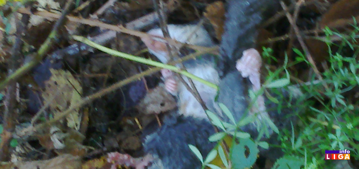 il-puh3 Ko pravi probleme sa strujom meštanima ivanjičkih sela