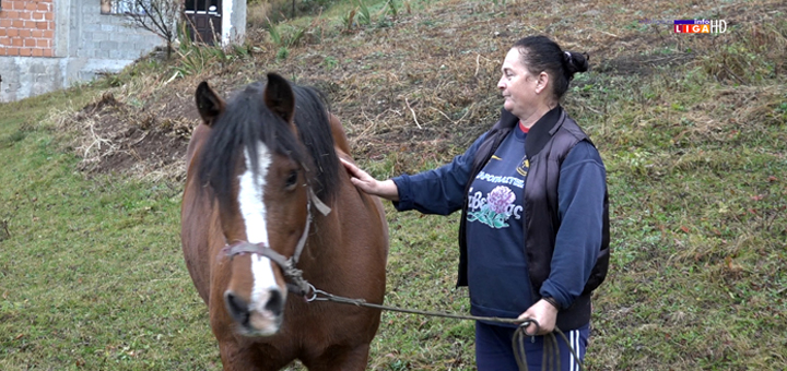 IL-Meca-konj-Preseka- "Bako, zašto je medo pojeo konja?" - Strah i tuga u ivanjičkom zaseoku Preseka (VIDEO)
