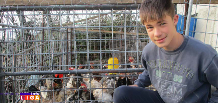 IL-ajetina-kokoske Porodica Luković razvila uspešan biznis sa uzgojem prasadi