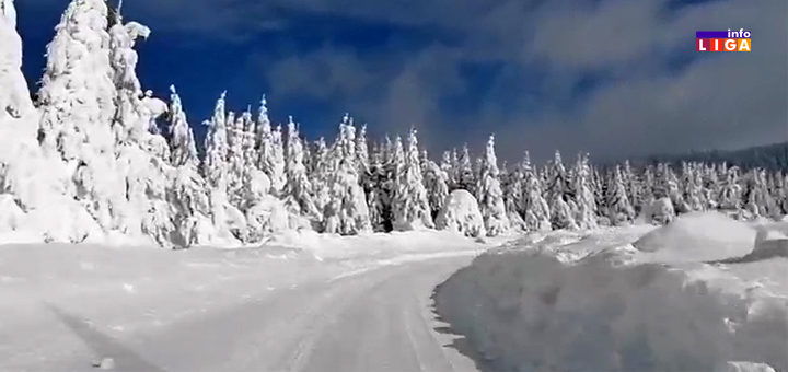 IL-ODvracenica-Golija-2020- Svetski dan snega: ''Dok veštački sneg prekriva planine, Golija slavi prirodu'' (VIDEO)