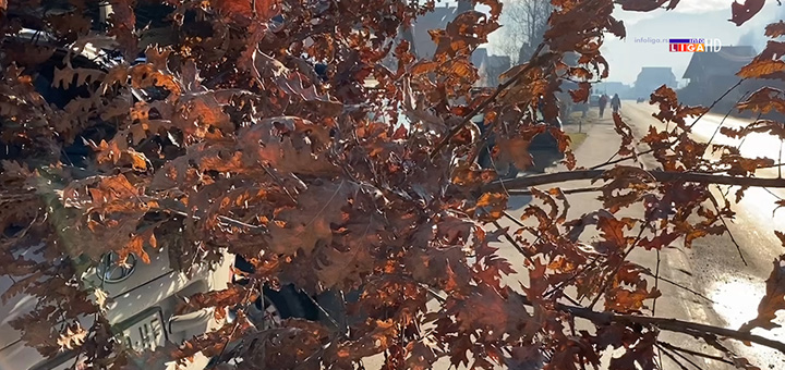 il-badnjak- Obeležen Badnji dan- Predsednik opštine Ivanjica čestitao praznike sugrađanima (VIDEO)