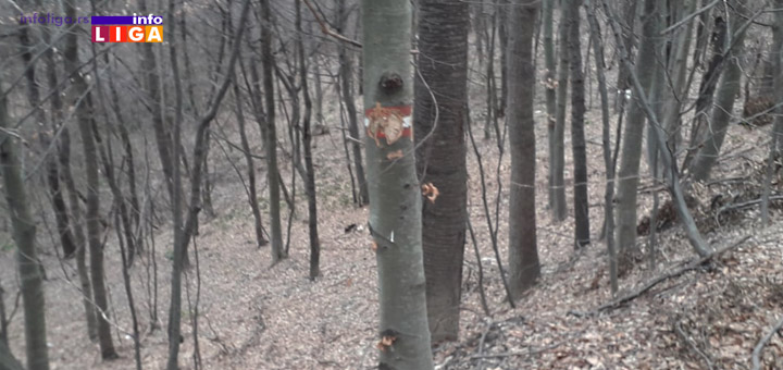 IL-Drvece-oynake-unistene Biće nam bolje kada budemo bolji