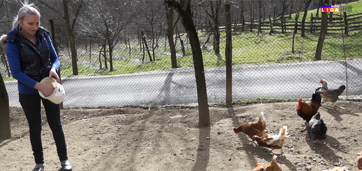 il-kokoske- Ivanjica: Mila slatke muke na selu ne bi menjala za svu raskoš grada (VIDEO)