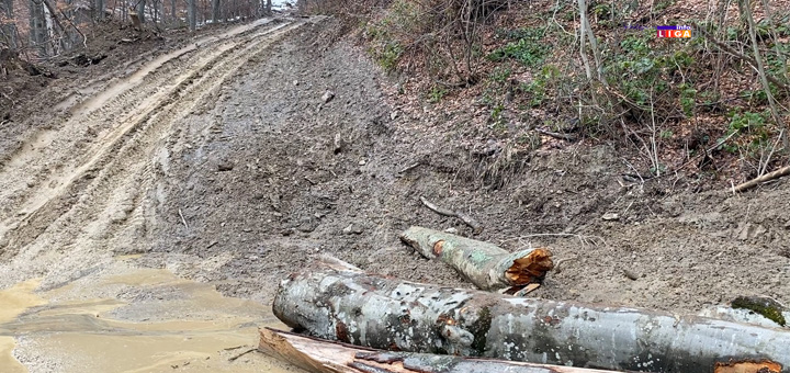 il-put Muke žitelja ivanjičkih sela: "Srbijašume nam uništiše puteve, nema nam života ovde" (VIDEO)