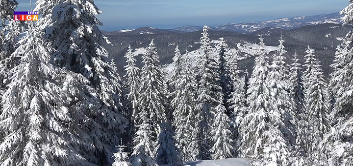 IL-Jankov-kamen-suma-sneg- Novih dvadeset centimetara snega na Goliji