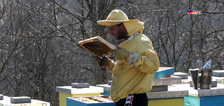 IL-Mladi-pcelar-Markovic Mladi Ivanjičanin razvio ozbiljan posao sa pčelama (VIDEO)