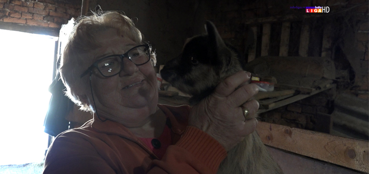 IL-Verica-Petrovic-kozji-eko-proizvodi- Ivanjica: Proizvodnjom organski zdrave hrane Verica osvaja tržište i leči ljude (VIDEO)