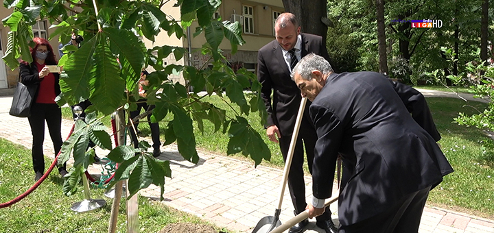 IL-sadnja-drveta-brazil- Ambasador Brazila u poseti Ivanjici - hiljadu stabala za ''šumu prijateljstva'' (VIDEO)