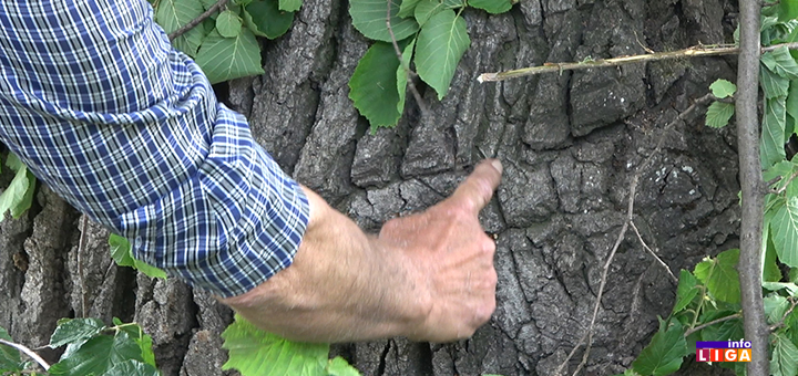 IL-Krst-hrast-u-Osonici- Osonica posle 80 godina vratila Spasovdanske litije (VIDEO)