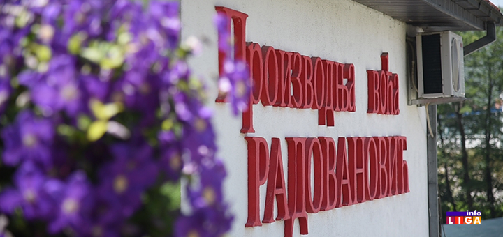 IL-proizvodnja-radovanovic- Ivanjička rakija od maline okitila se zlatnom medaljom (VIDEO)