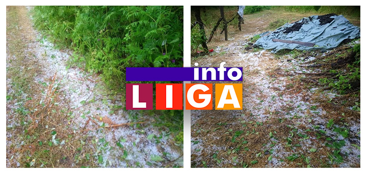 IL-Gledjica- Ivanjica: Grad obeleo malinjake u Gleđici (VIDEO)