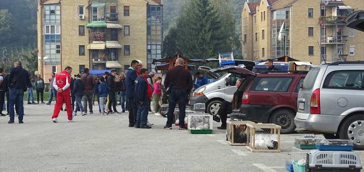 IL-Berza-Guca Uspešno realizovana prva berza sitnih životinja u Guči
