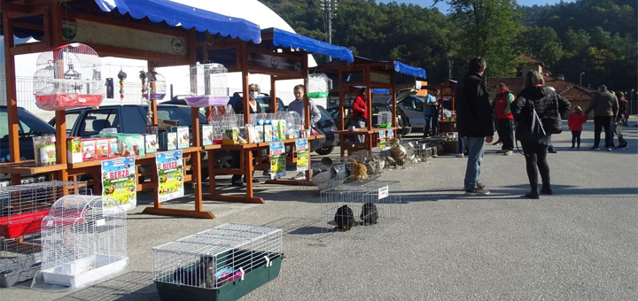 IL-Berza-sitnih-zivotinja-Guca Uspešno realizovana prva berza sitnih životinja u Guči