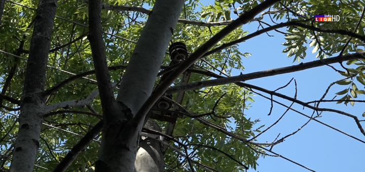 IL-Malovici-struja-problem- Zbog remonta deo Ivanjice u nedelju nekoliko sati bez struje