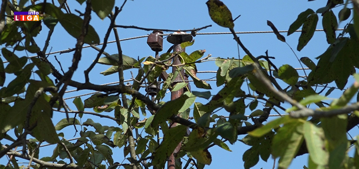 IL-Malovici-struja-problem-tekst- Zbog seče rastinja nekoliko naselja u Prilikama bez struje